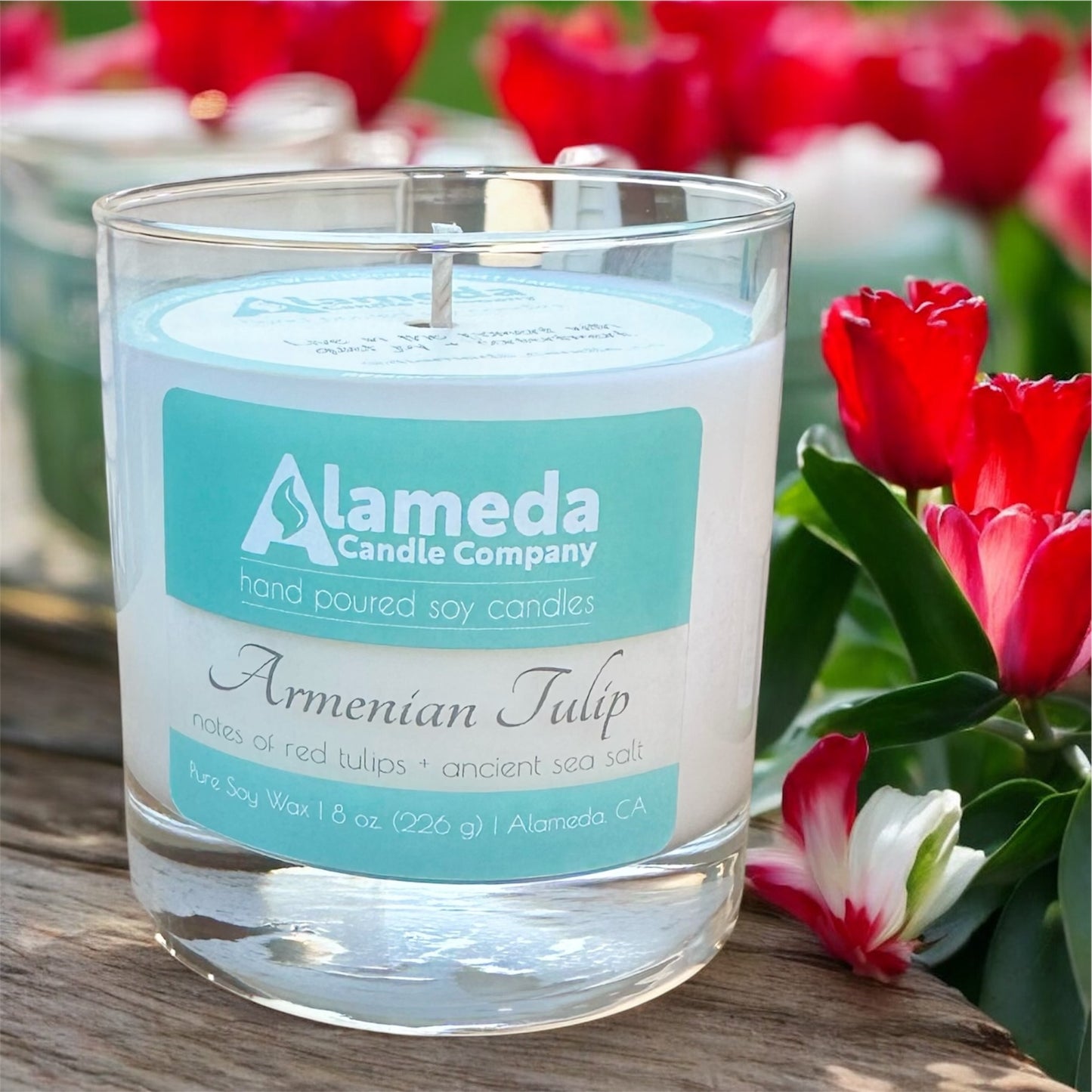 Armenian Tulip