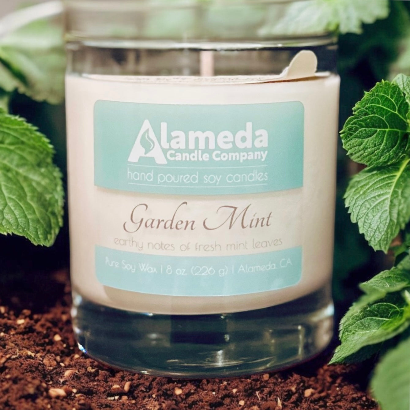Garden Mint